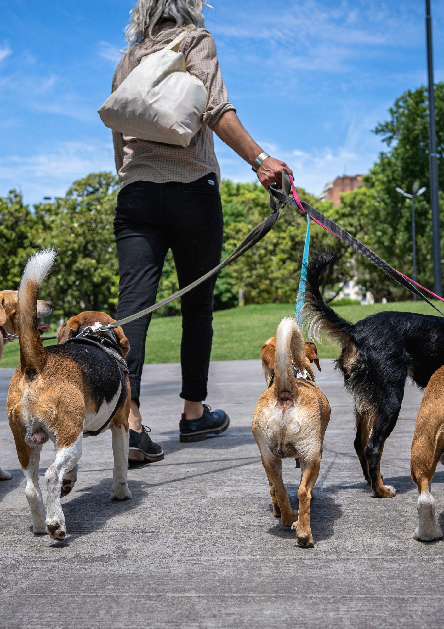 Promeneur